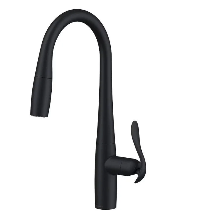 Kitchen Faucet Selene 1 Lever ADA Satin Black 1.75 Gallons per Minute