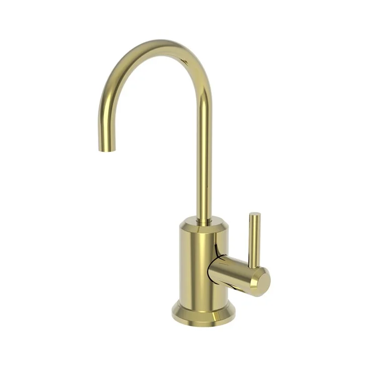 Cold Water Dispenser Jeter 1 Lever ADA Gooseneck Polished Brass Uncoated Living