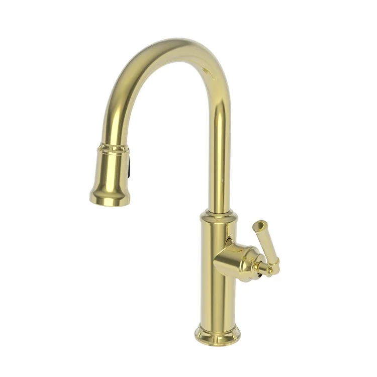 Kitchen Faucet Gavin 1 Lever ADA Forever Brass PVD Pull Down Spout Height 10-3/8 Inch 1.8 Gallons per Minute