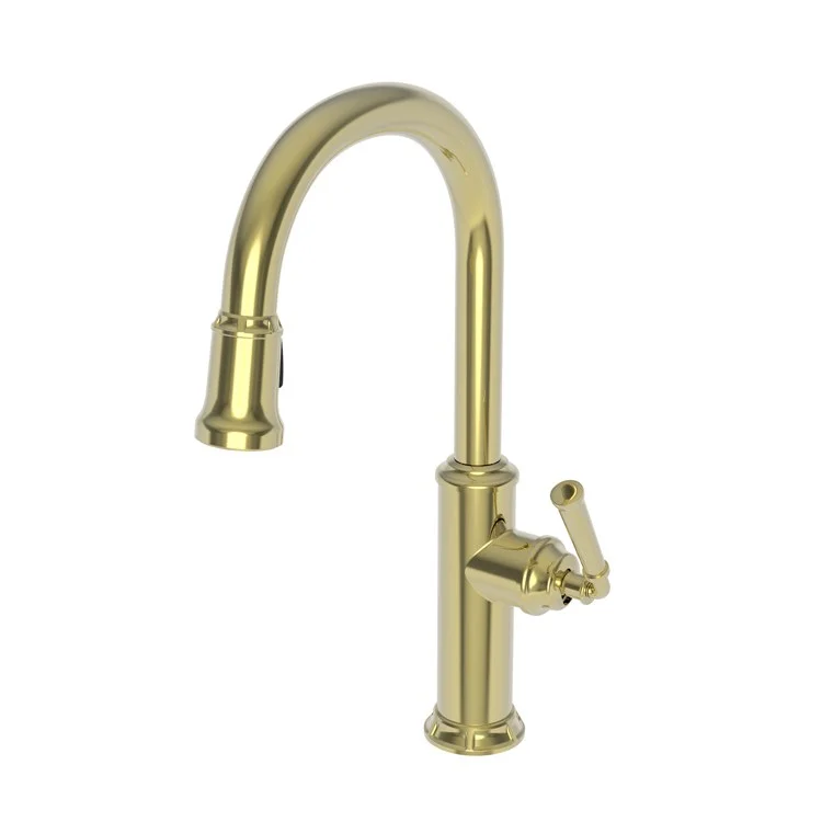 Kitchen Faucet Gavin 1 Lever ADA Polished Brass Uncoated Living Pull Down Spout Height 10-3/8 Inch 1.8 Gallons per Minute